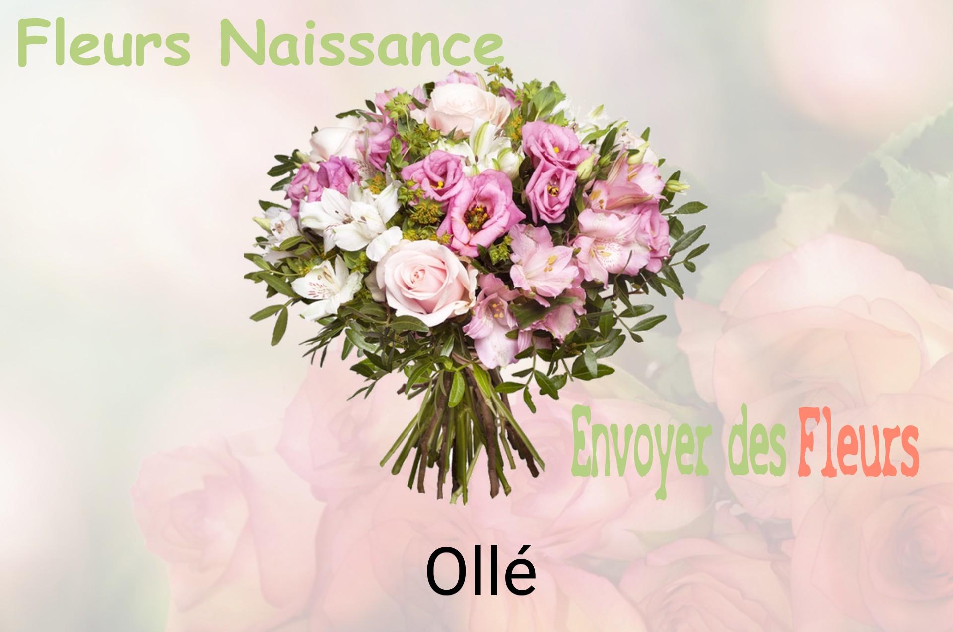 Bouquet de fleurs de naissance livré à Ollé