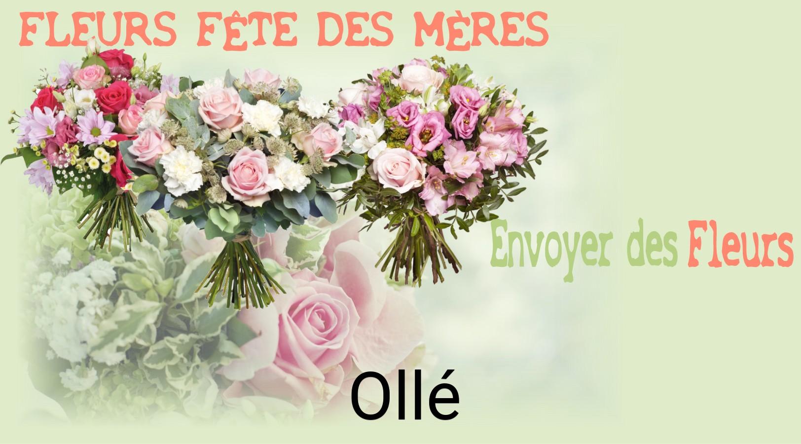 Bouquet de Fête des Mères livré à Ollé